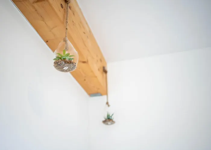 Wohlfuehl Rauental - Kueche - Wlan